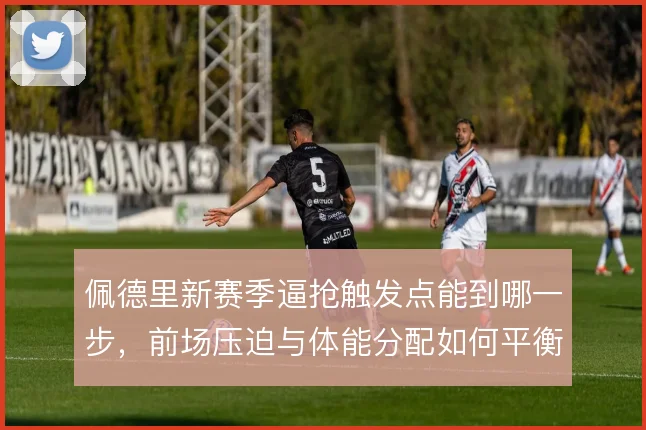 佩德里新赛季逼抢触发点能到哪一步，前场压迫与体能分配如何平衡