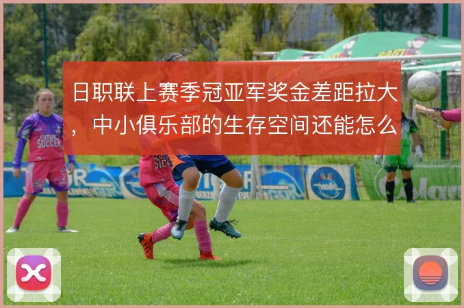 日职联上赛季冠亚军奖金差距拉大，中小俱乐部的生存空间还能怎么拓宽